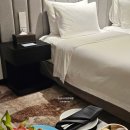 리버시티프라자 | 다낭시내호텔 크라운플라자 다낭 시티바이센터 IHG 프리미어 리버뷰 내돈내산후기