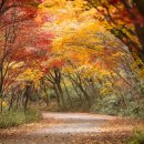 공연 전시장길 코스 이미지