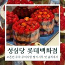 일단 합격 TSC 기본공략 | 성심당 케익부띠끄 롯데백화점 대전점 주말 오픈런 딸기시루 솔직 후기