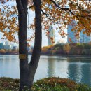 주식회사코미팜 이미지