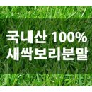 보리청정유통 이미지