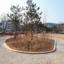 솔올정원 이미지