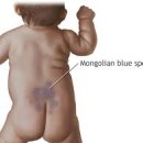 몽고반점 - 용인시 기흥구 평촌2로1번길 23 | 몽고반점