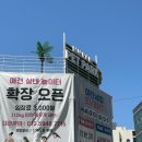 펫드라이브 | 부산 광안리 애견동반 카페 고더커피 민락DT점&amp;민락펫파크 강아지가 찐 만족한 후기