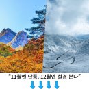 가을 하늘로 치솟은 메타세쿼이아… 무료로 걷는 자연 산책 명소 이미지