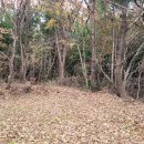 송정이목로 이미지