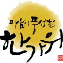 이태리안경동수원점 이미지