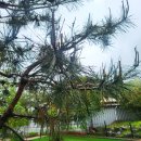 곡성 기차마을 애견동반펜션 이미지