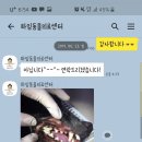 하임동물병원 이미지