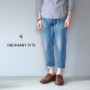 핏츠(FITS)