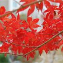 판교이지공인중개사사무소 이미지