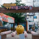 강진정미소 이미지