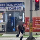 29.999세의 마지막 기록