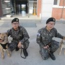 육군 군견훈련소 이미지