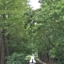 개울과 사람들 이미지