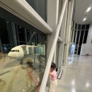 숙원농장 | [하와이 아이랑] 7박 9일 여행 :: J엄마의 첫 장거리 해외여행 준비, 힐튼 베케이션 클럽/디즈니...