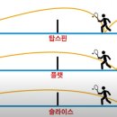 컴온테니스