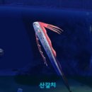서서자는물고기
