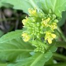 지암교 입구 이미지