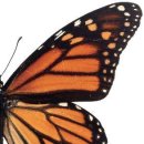 아주대학교병원 이미지