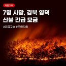 기브