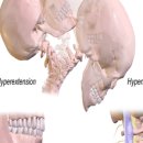 마디척의원 이미지