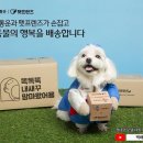 펫프렌즈 이미지