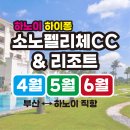소노펠리체 이미지