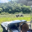 토탈미술피아노학원 이미지