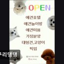 숭구리댕댕 이미지