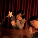 허밍버드 이미지