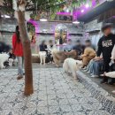 몽글몽글 이미지