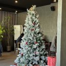 들풀카페