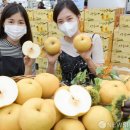 화산마트 이미지