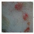 동탄약국 이미지