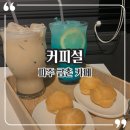 커피설
