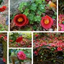 충렬사유물전시관 이미지