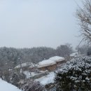 수양민박 이미지