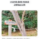 제184회 2026년 11월 호호산악회 정기산행(통영 학림도 힐링 섬 트레킹) 이미지