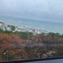 청사포와봄