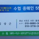 55번중매인