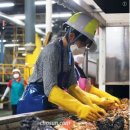 부산물세탁 이미지