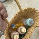 참농장 | 아기랑 갈만한 곳 포천 블루밍참 체험농장 후기