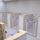 개와 사람(애견호텔) 이미지