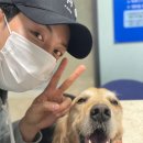 심바동물병원 이미지