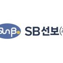 선보