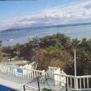 엘비스 펜션 이미지