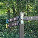 대전둘레산길(12구간) Daum카페