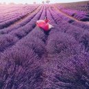 동화민박 이미지