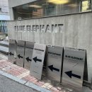 나들스토어 | 서울숲 블루엘리펀트 플래그십스토어 쇼룸 데이트코스 추천